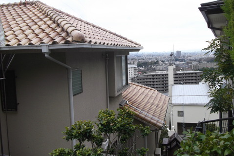 DSCF5462