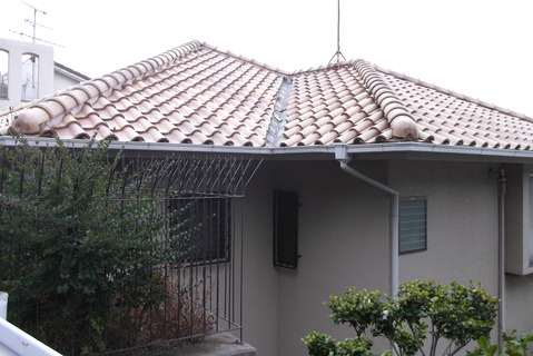 DSCF5461