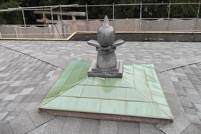 DSCF5445