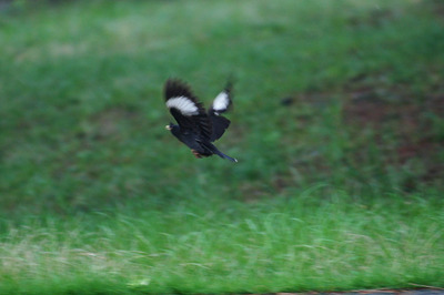 2011070520110703c