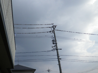 2013022420130130-Rz10