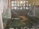 溺れる〜