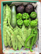 「なつはな畑」の夏野菜ギフト