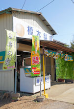 橋本梨園