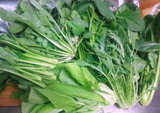 葉物野菜たっぷり