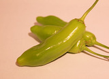 カレイドスコープ