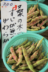 桑の木豆