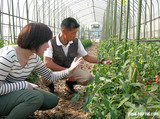 岩田農場で夏野菜に出会う