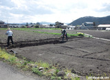 なつはな畑2012始まる