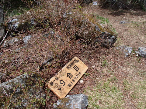 P5230056