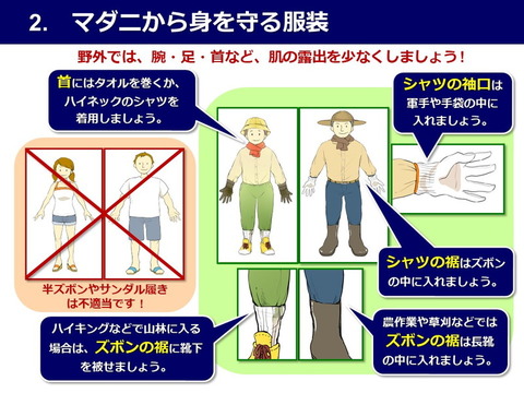 マダニ怖いよね