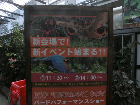 CIMG0174
