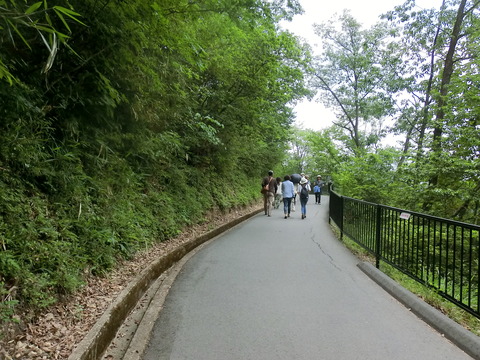 CIMG0147