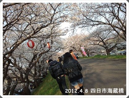 桜03