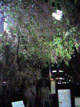 9b5cb280.jpg