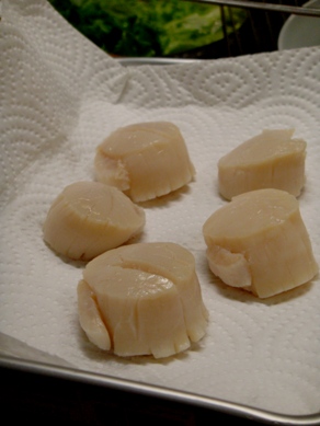 oil20090617-005.JPG