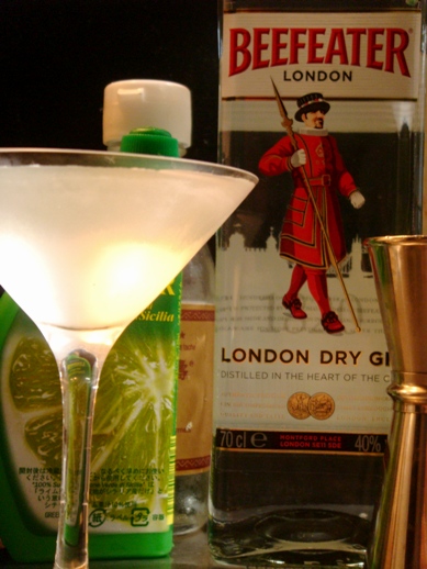 gimlet20081108-777.JPG