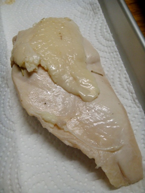 torihamu20080902-004.JPG