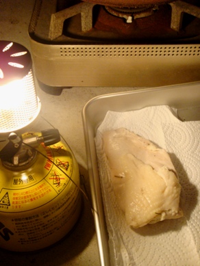 torihamu20080902-005.JPG