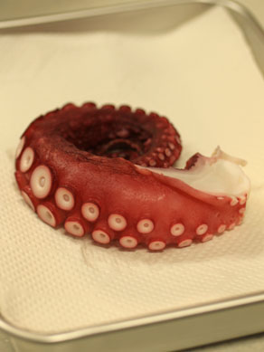 20170404tako-001