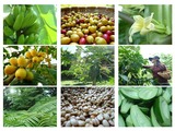FARMTHEFUTURE001