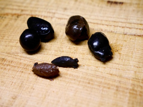 P1130523