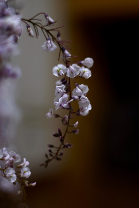 DSC09608