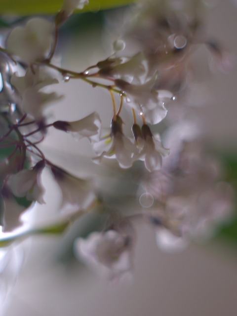 DSC00671