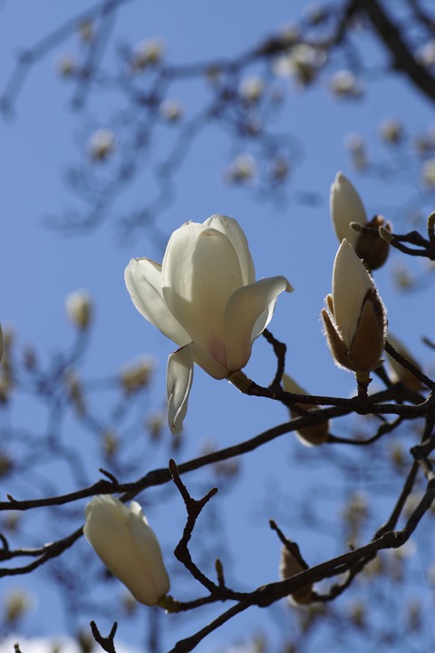DSC01020