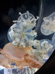 20150207_160910