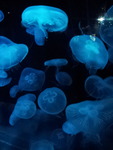 20150207_160957
