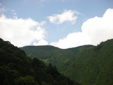 山