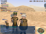 デメ鎧ゲット