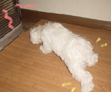 20060126-2