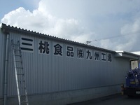 2010_10010009