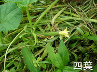 P8040769