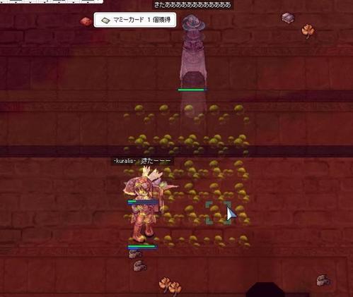 久々にPT狩り&レア