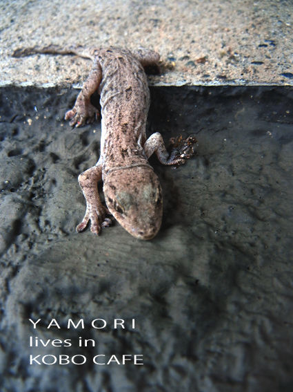 yamori