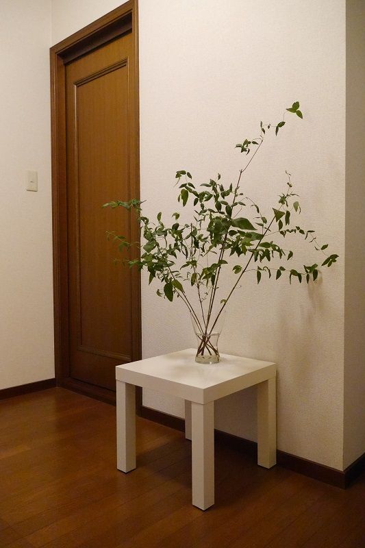 P1090467kur