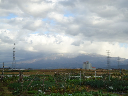 DSC01475