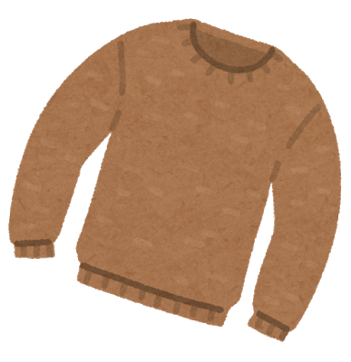 fashion_sweater_u