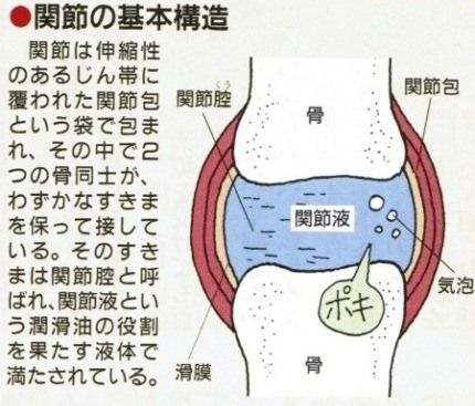 ポキポキ