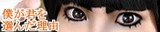 lee-banner