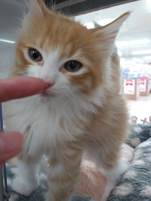 ノル①