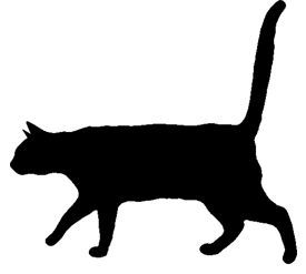 neko