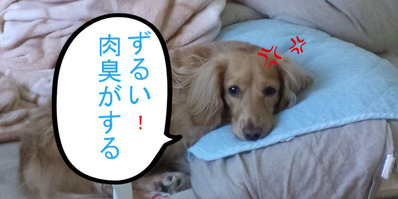 BlogPaint