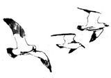 833e4034.jpg