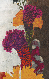 a726c5d0.jpg