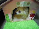 DSCN7141