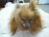 DSCN6880